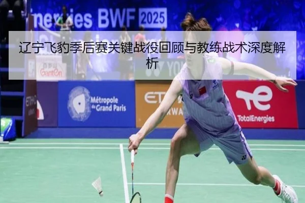 辽宁飞豹季后赛关键战役回顾与教练战术深度解析
